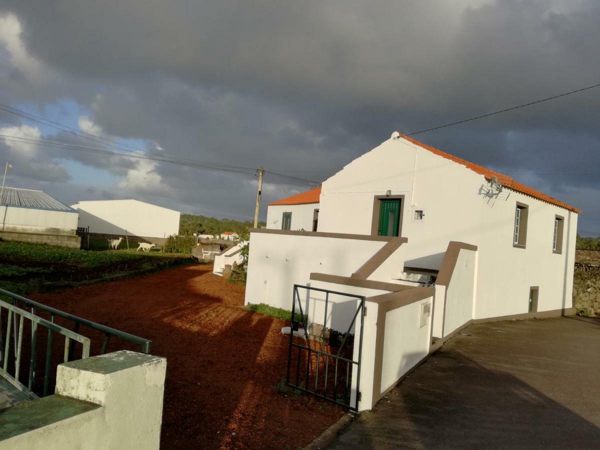 Casa Dos Biscoitos Villa Madalena  Dış mekan fotoğraf